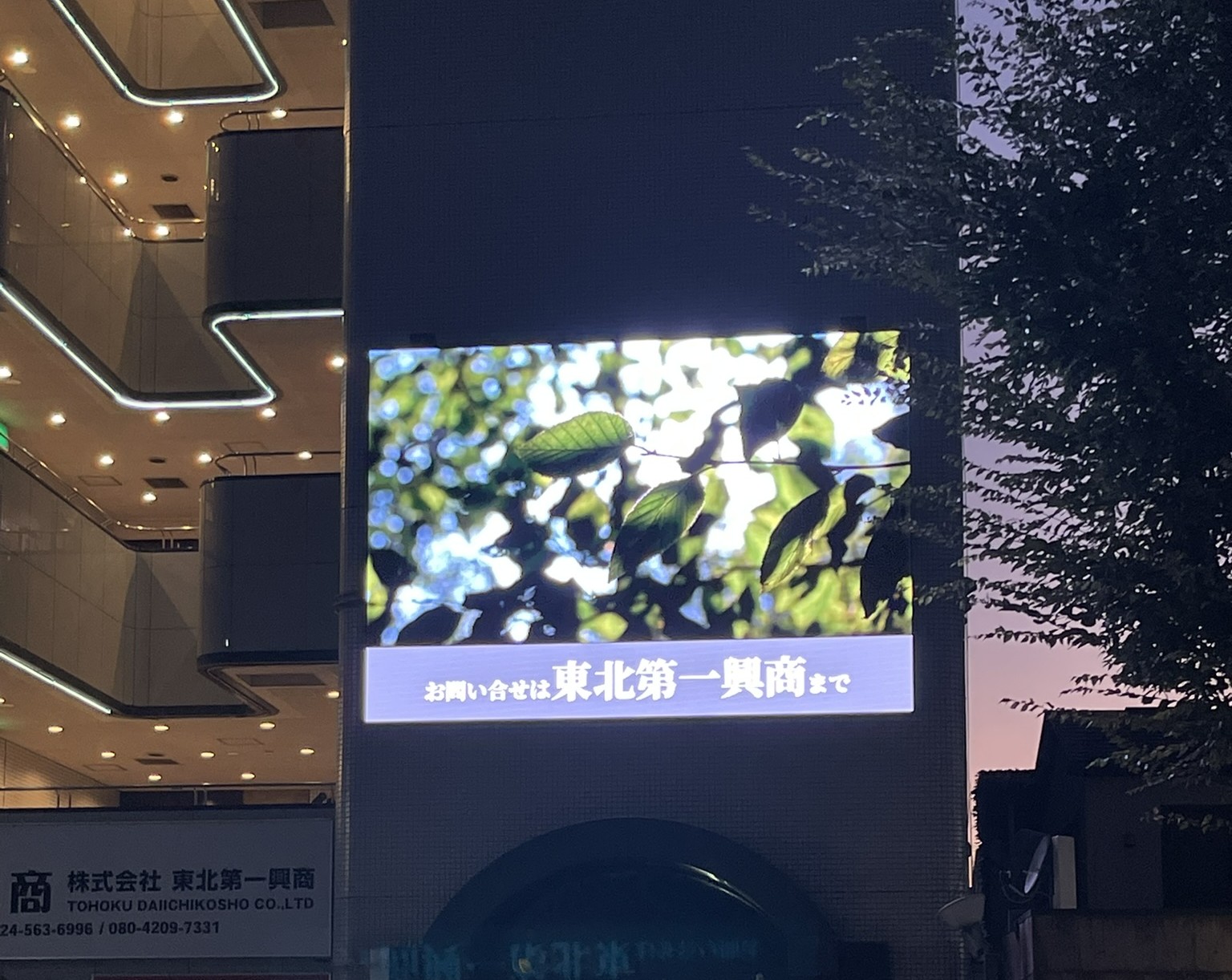 藤原屋ジャガービルLEDビジョン