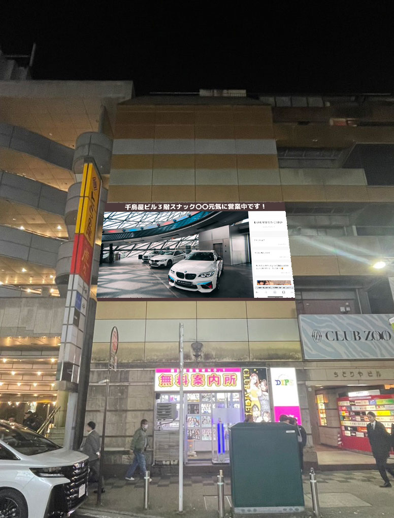 HaLVisionシステム概要