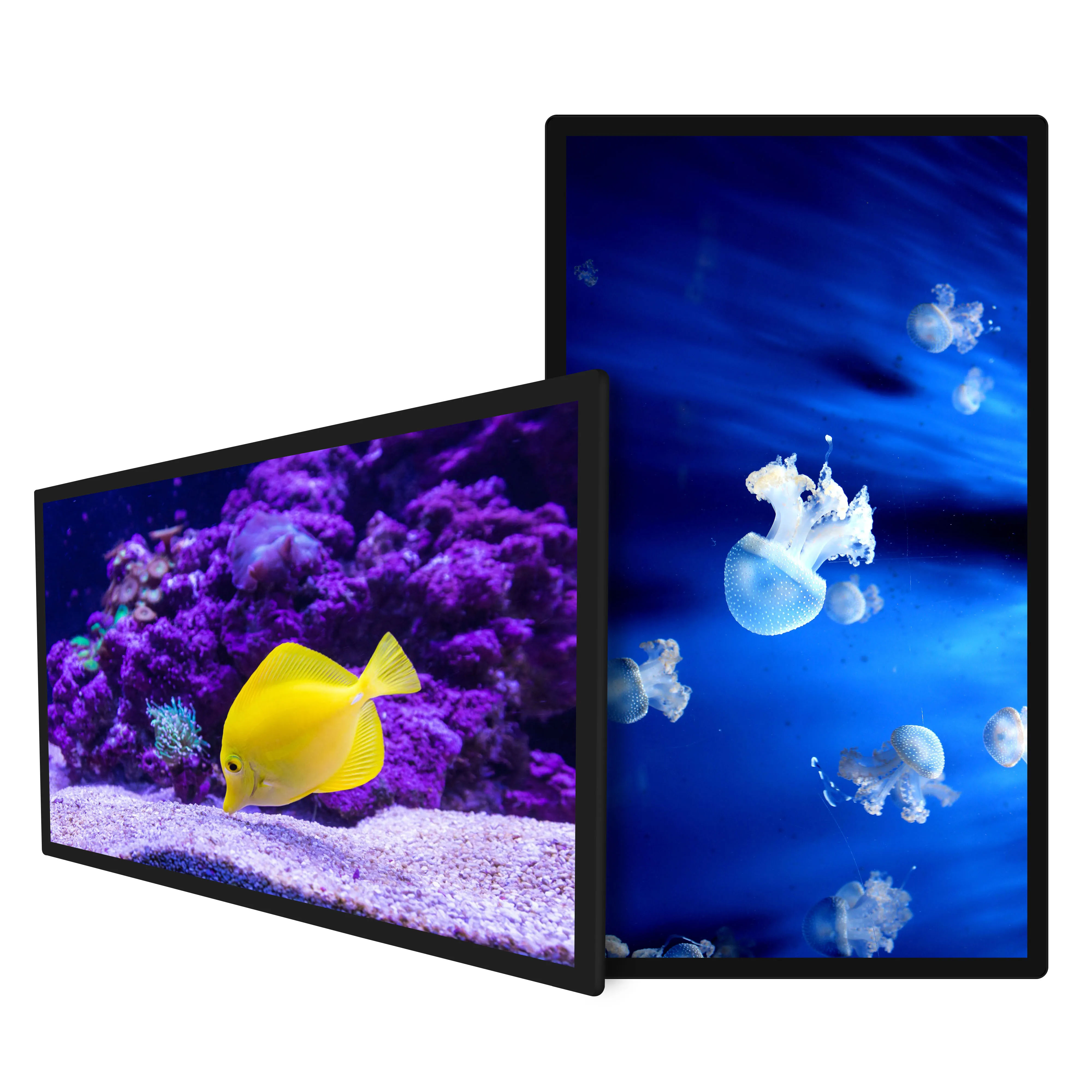 棚組み込みタイプディスプレイ